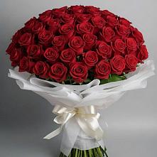 Букет 101 Красная роза Блэк Мэджик в Юже