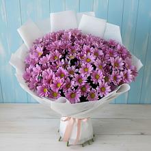 Букет цветов из:  Хризантемы #REPLACE_PRED# Юже