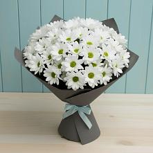 Букет цветов из:  Хризантемы #REPLACE_PRED# Юже