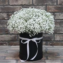 Цветочная композиция из Гипсофила в шляпной коробке в Юже